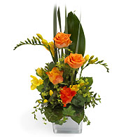 Kompozycja "Oranżeria"